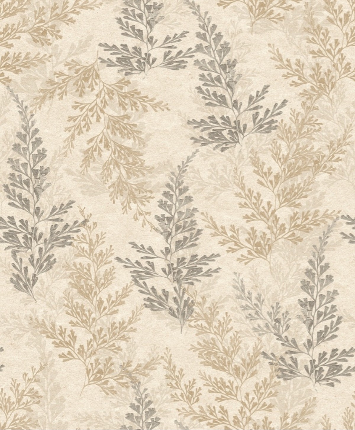 Herbarium HE27280