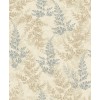 Herbarium HE27281