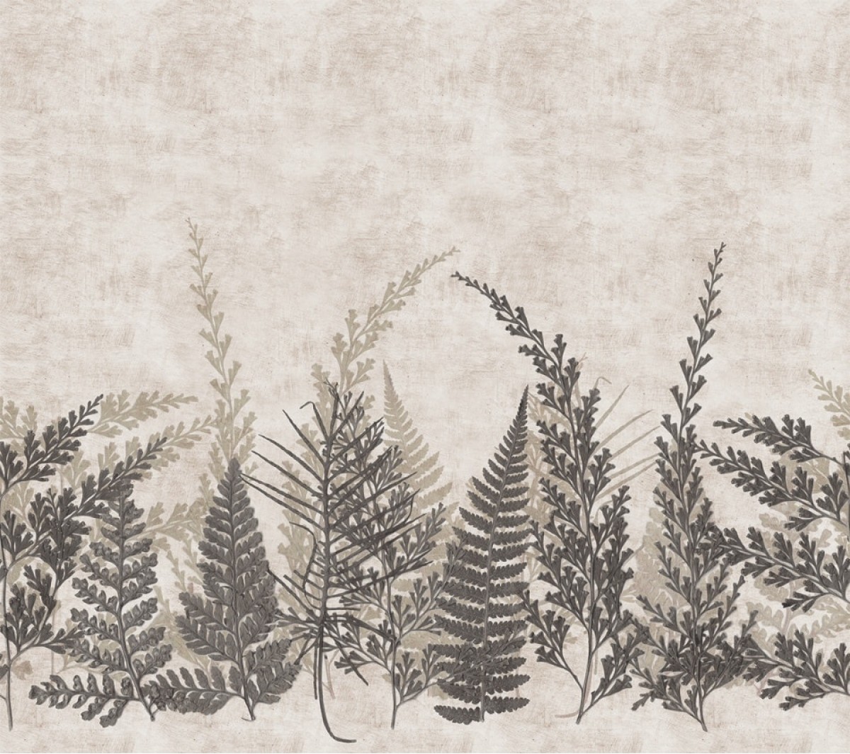 Herbarium HED27292