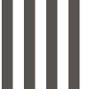 Top Stripes 38449