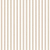 Top Stripes 38436