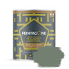 Peintagone METALGONE (Lak Metaal) PE053 CRICKET