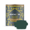 Peintagone METALGONE (Lak Metaal) PE054 GREEN ADDICT
