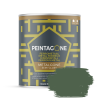 Peintagone METALGONE (Lak Metaal) PE060 FOREST GREEN
