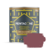 Peintagone METALGONE (Lak Metaal) PE120 FITNESS