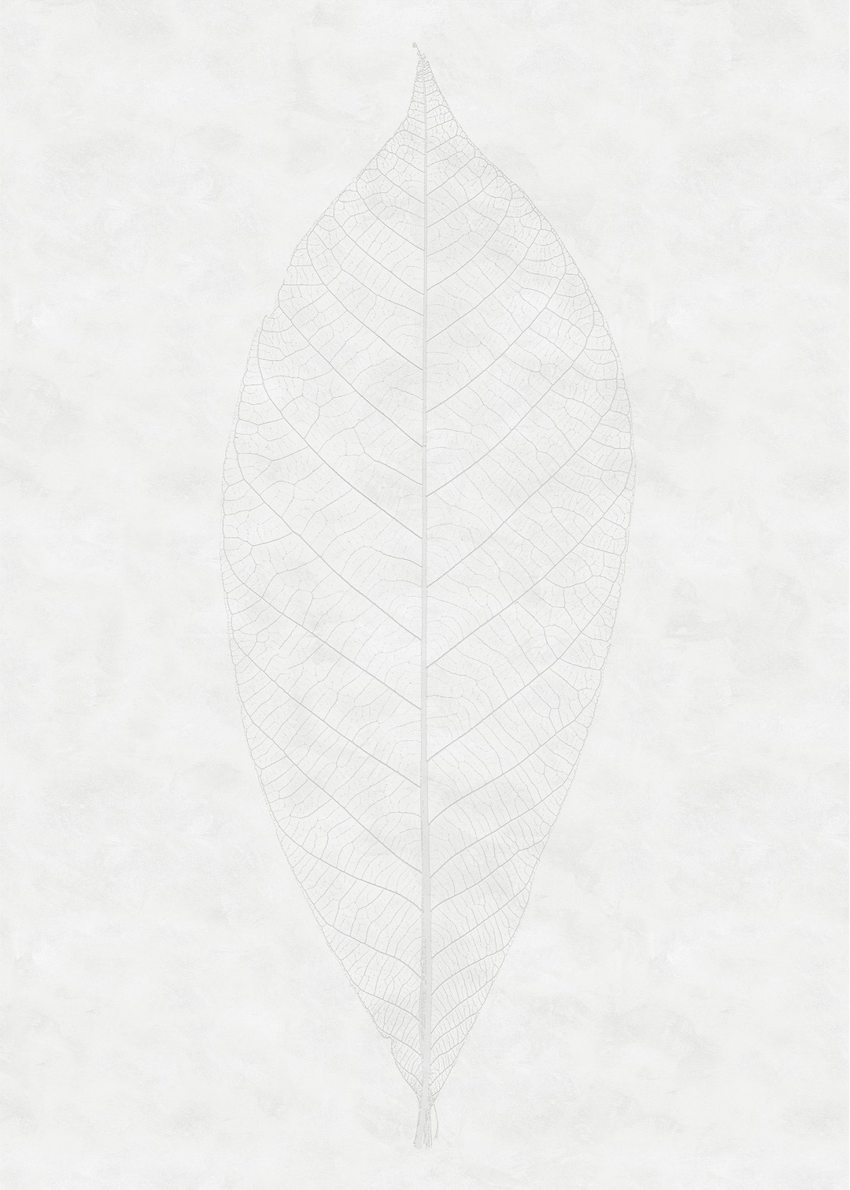 Komar RAW R2-012 Decent Leaf