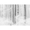 Komar RAW R4-043 Winter Wood