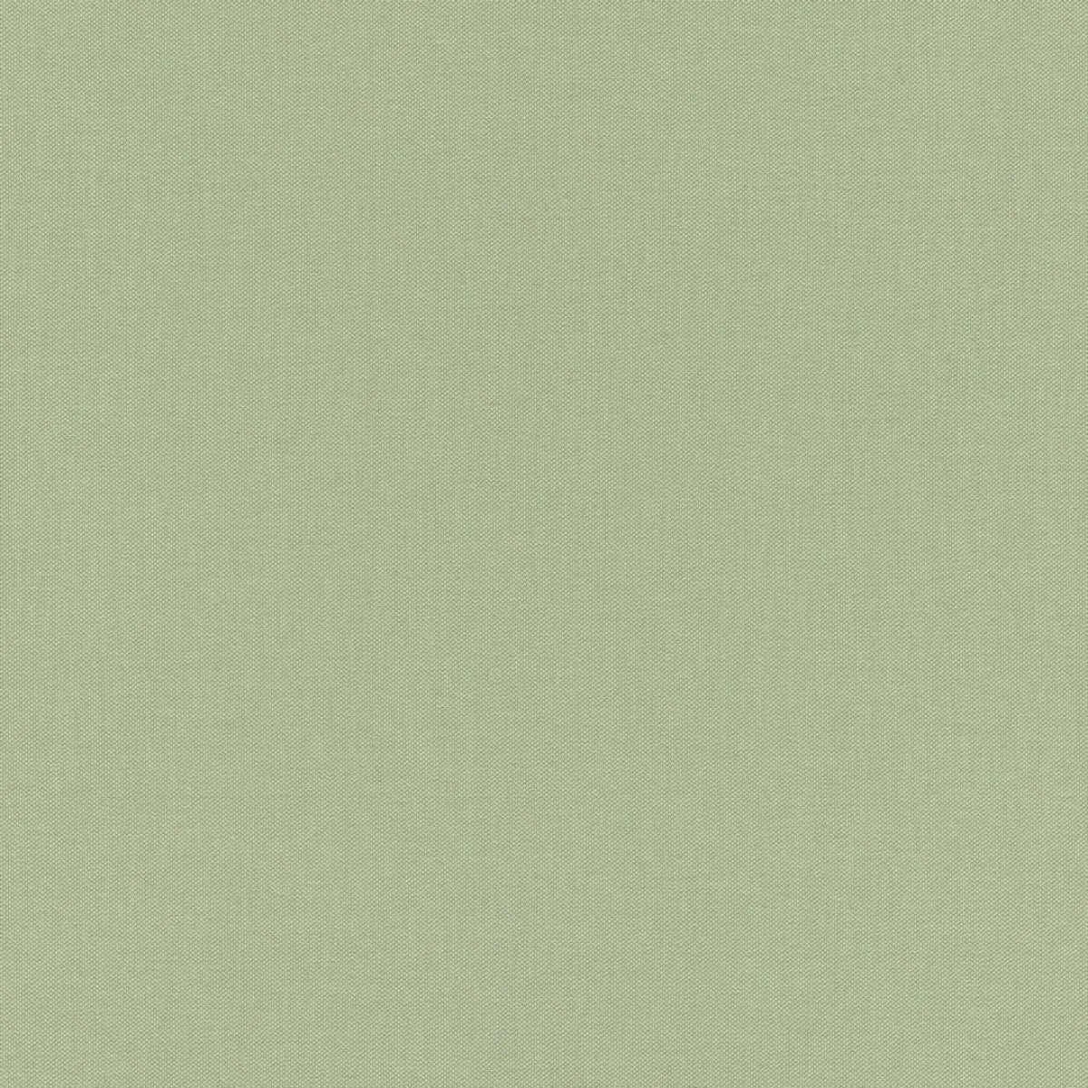 Allegretto 423938