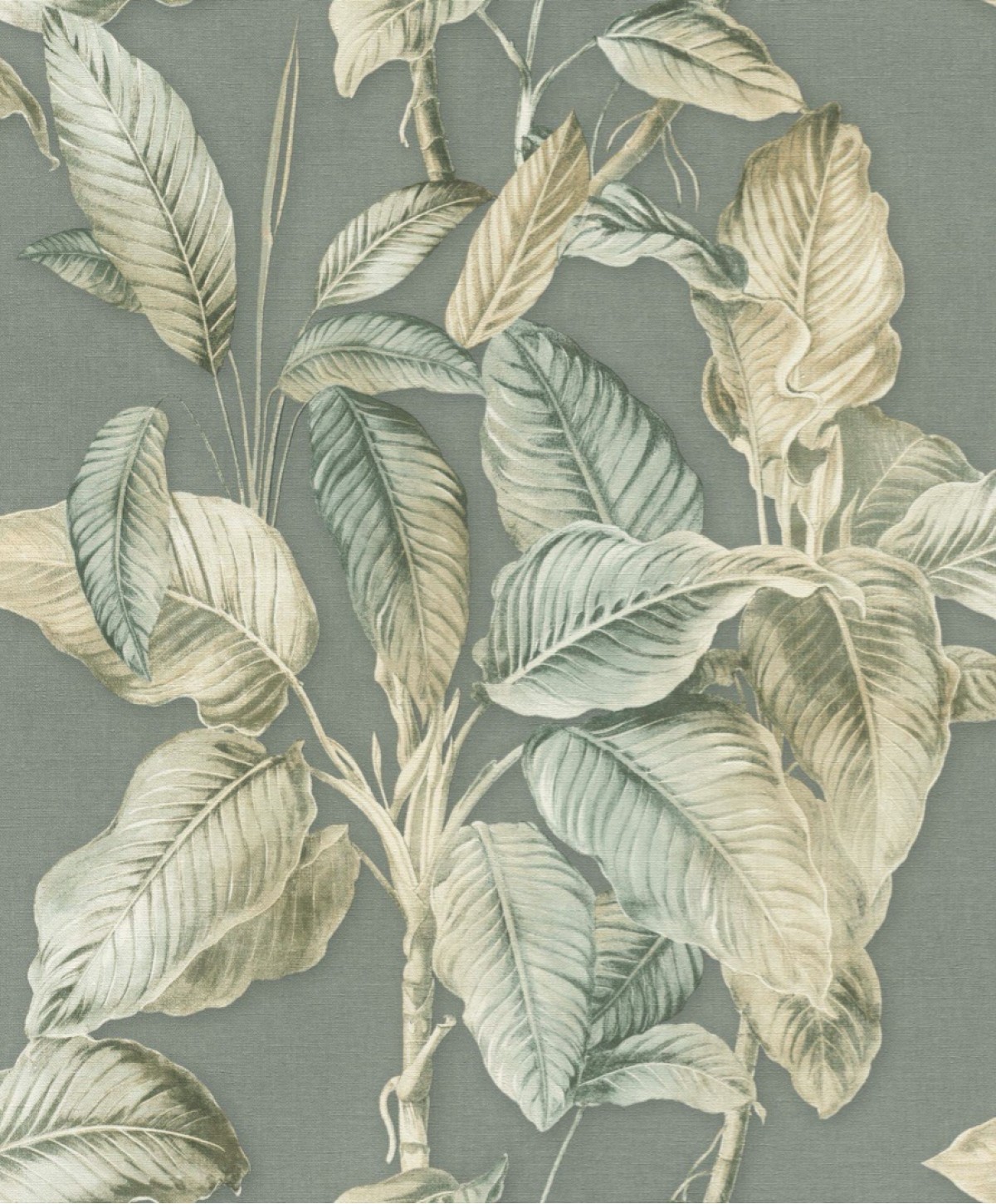 Back to Nature 571462