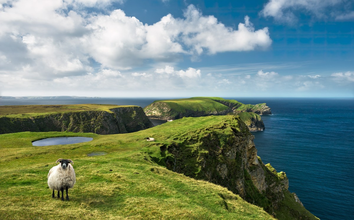 Komar Wanderlust SHX9-040 "Green Ireland"