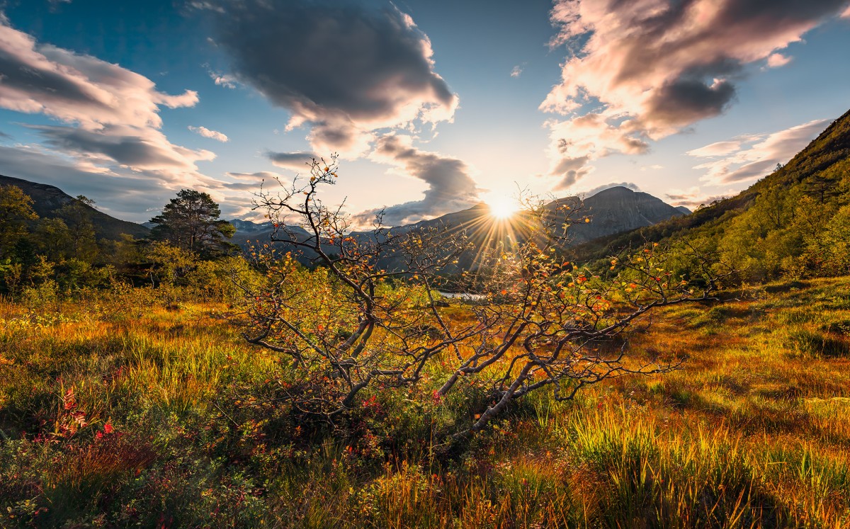 Komar Wanderlust SHX9-060 "Norwegische Herbstwelten"