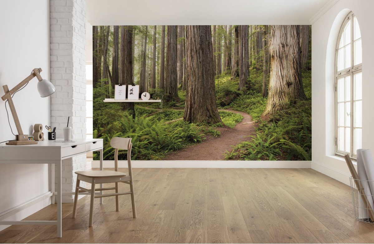 Komar Wanderlust SHX9-077 "Redwood Trail"