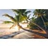 Komar Wanderlust SHX9-082 "Strandgeheimnis"