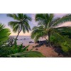 Komar Wanderlust SHX9-116 "Hawaiian Dreams"