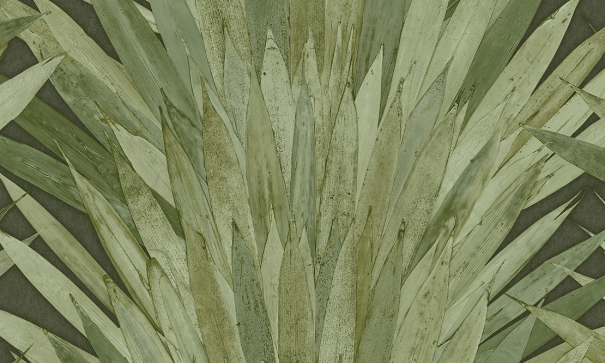 Selva Abanico 34001
