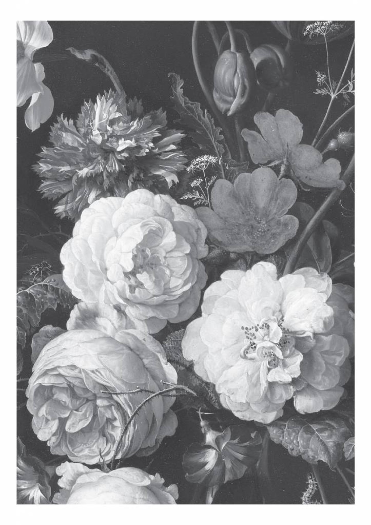 Kek Amsterdam Golden Age Flowers WP-585