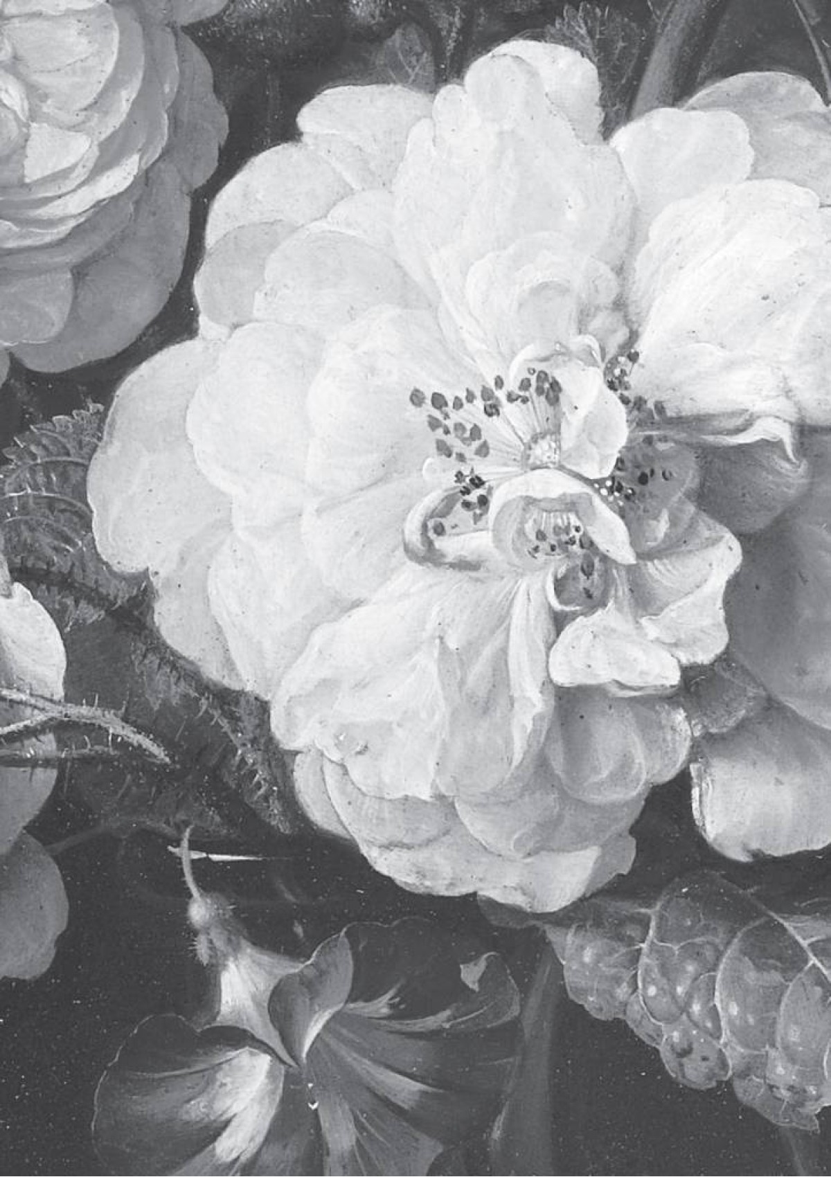 Kek Amsterdam Golden Age Flowers WP-585