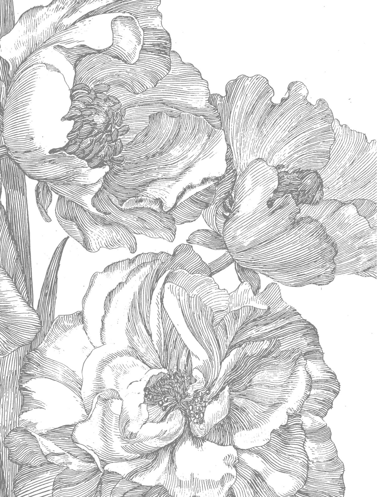 Kek Amsterdam Engraved Flowers WP-668