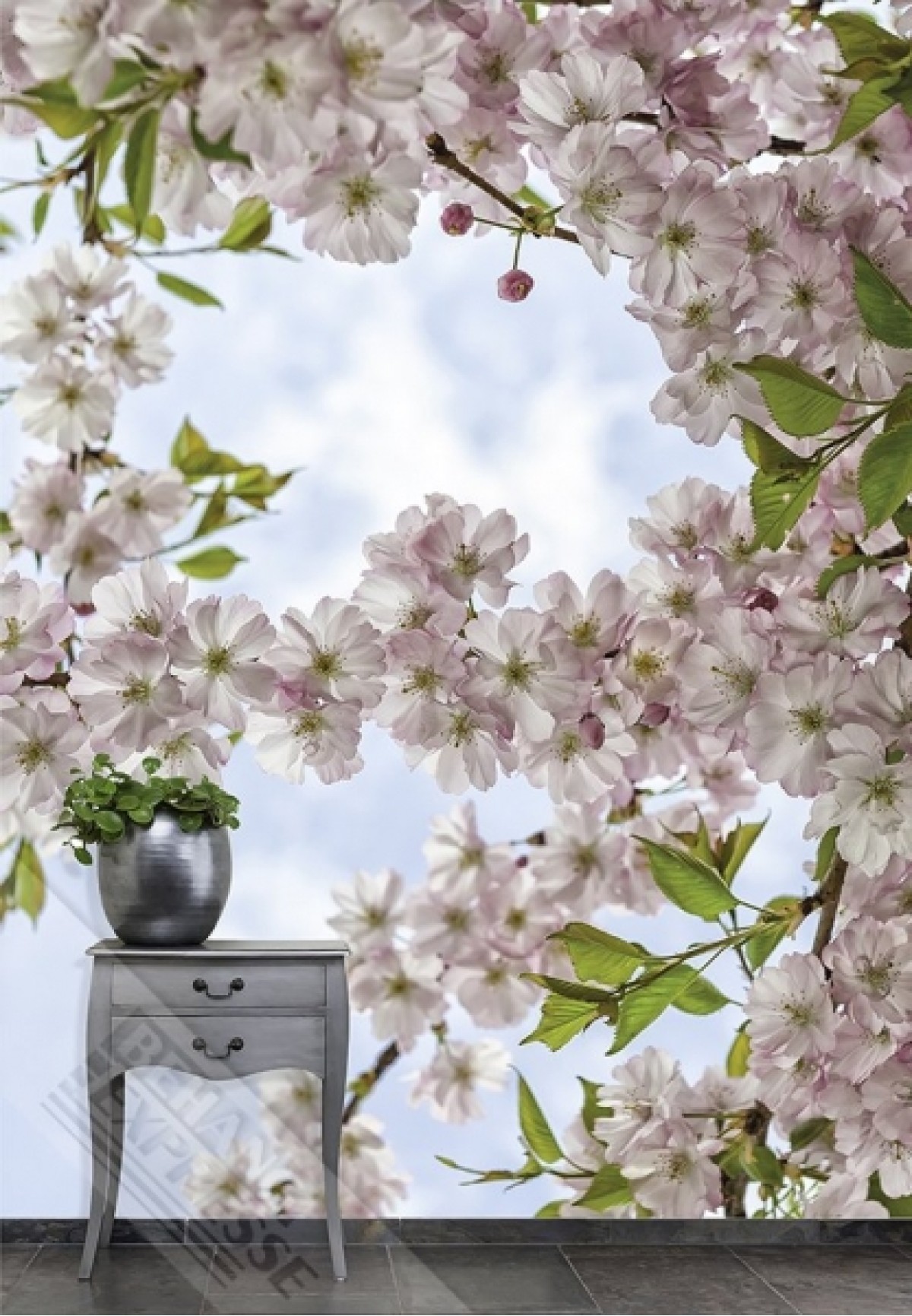 Wallpaper Queen ML240