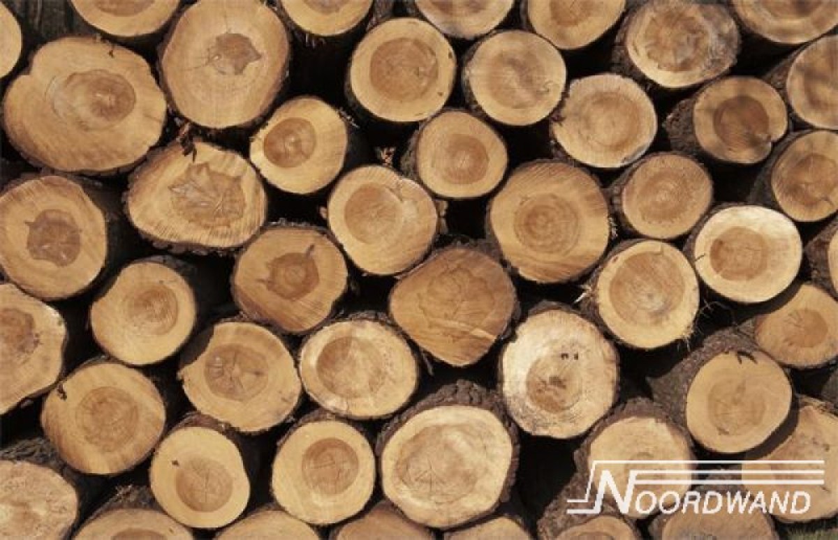 3750011 Wood logs