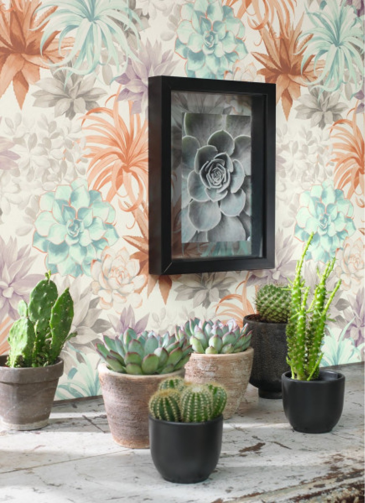 Casadeco Botanica 8591 43 74