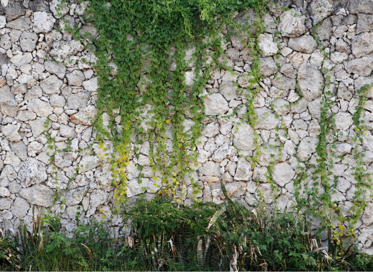 Designwalls DD118793 Stonewall