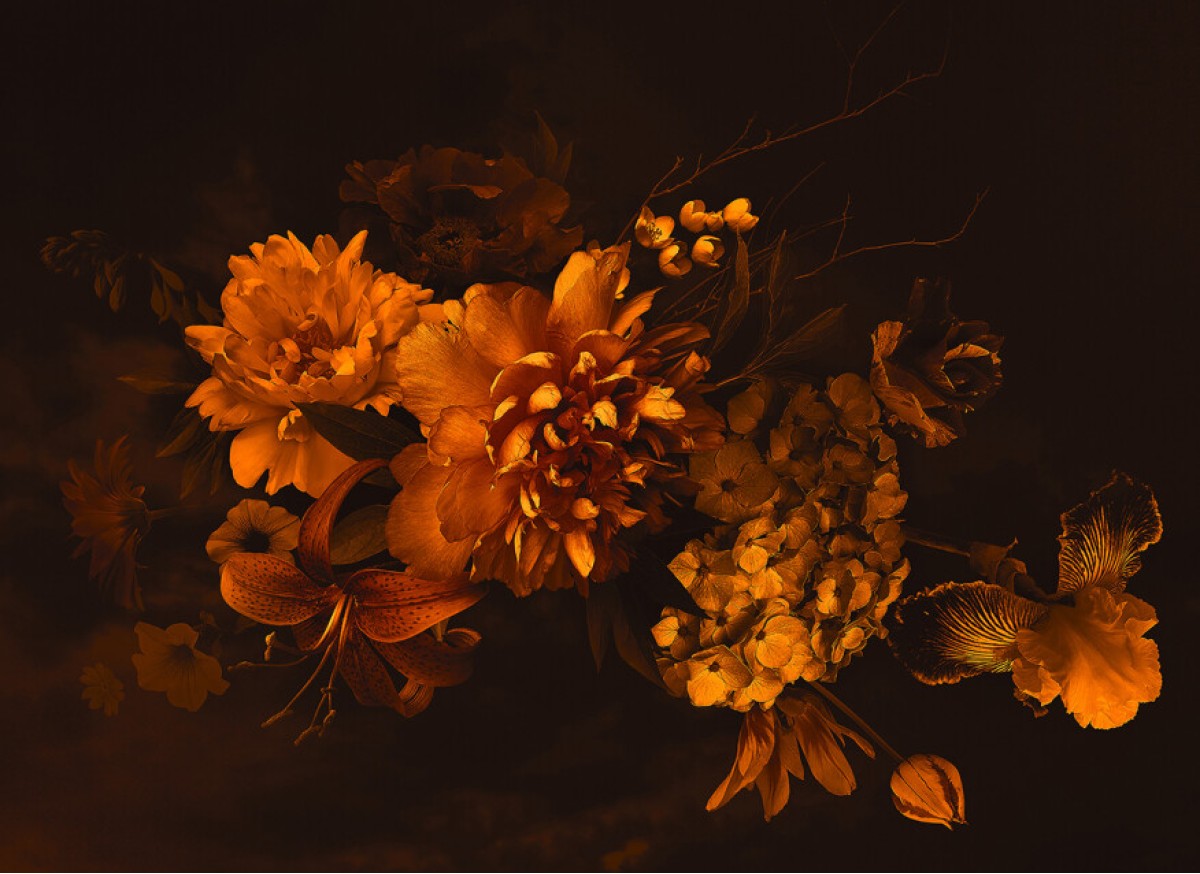 Designwalls DD118516 Blossom Variety 2