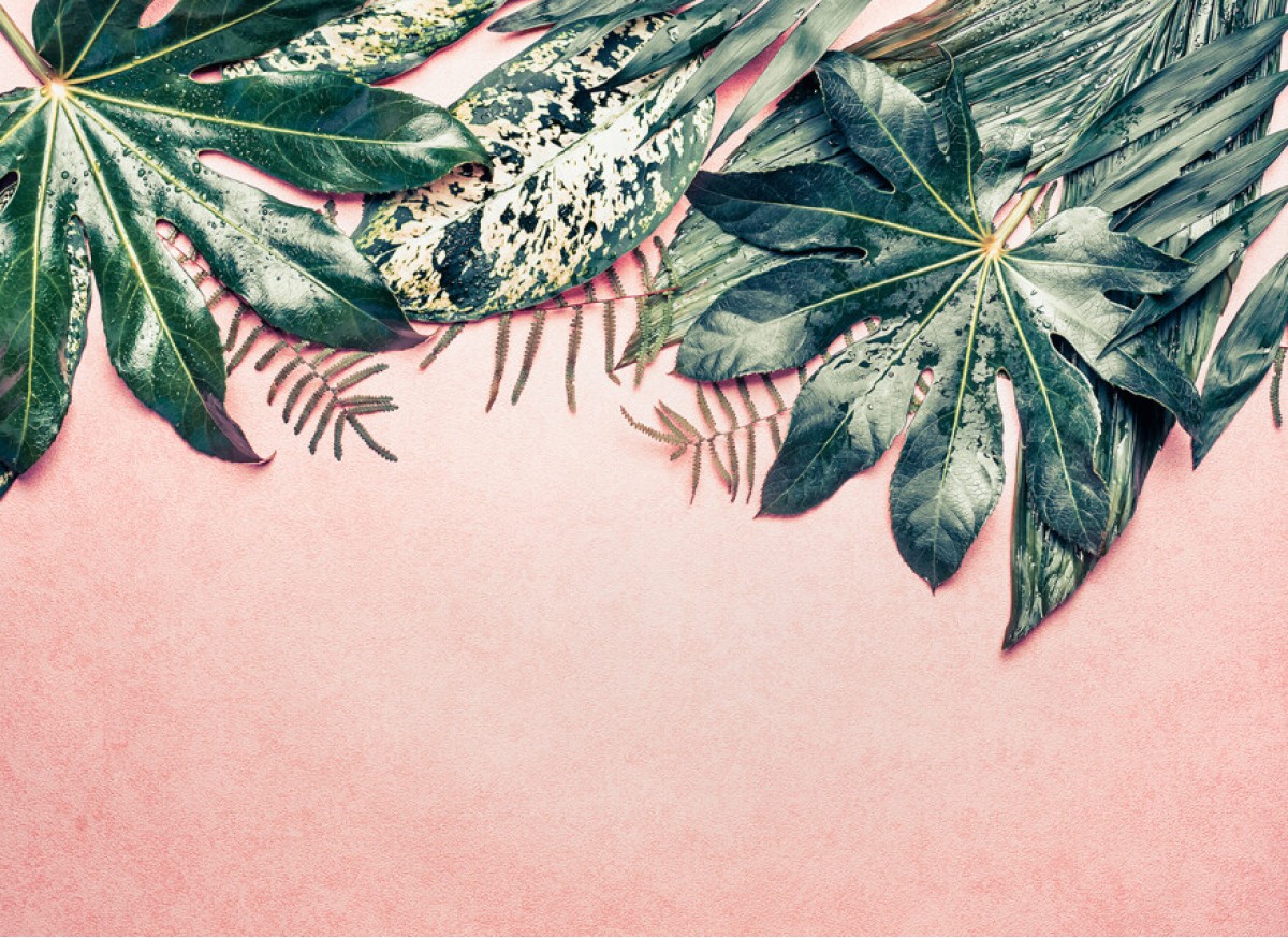 Designwalls DD118548 Leaves Variety 1