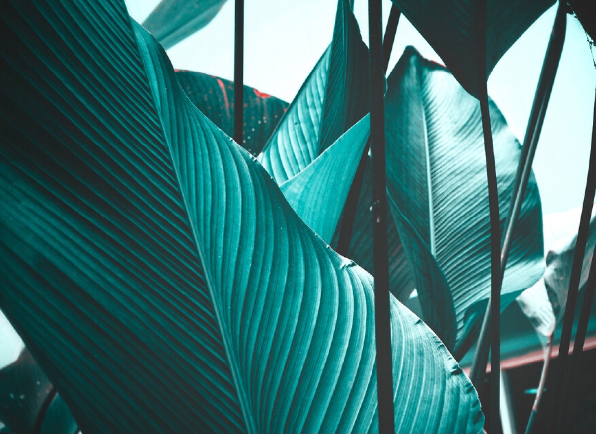 Designwalls DD118558 Leaf Stalk 2