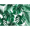 Designwalls DD118572 Palm Leaves 1