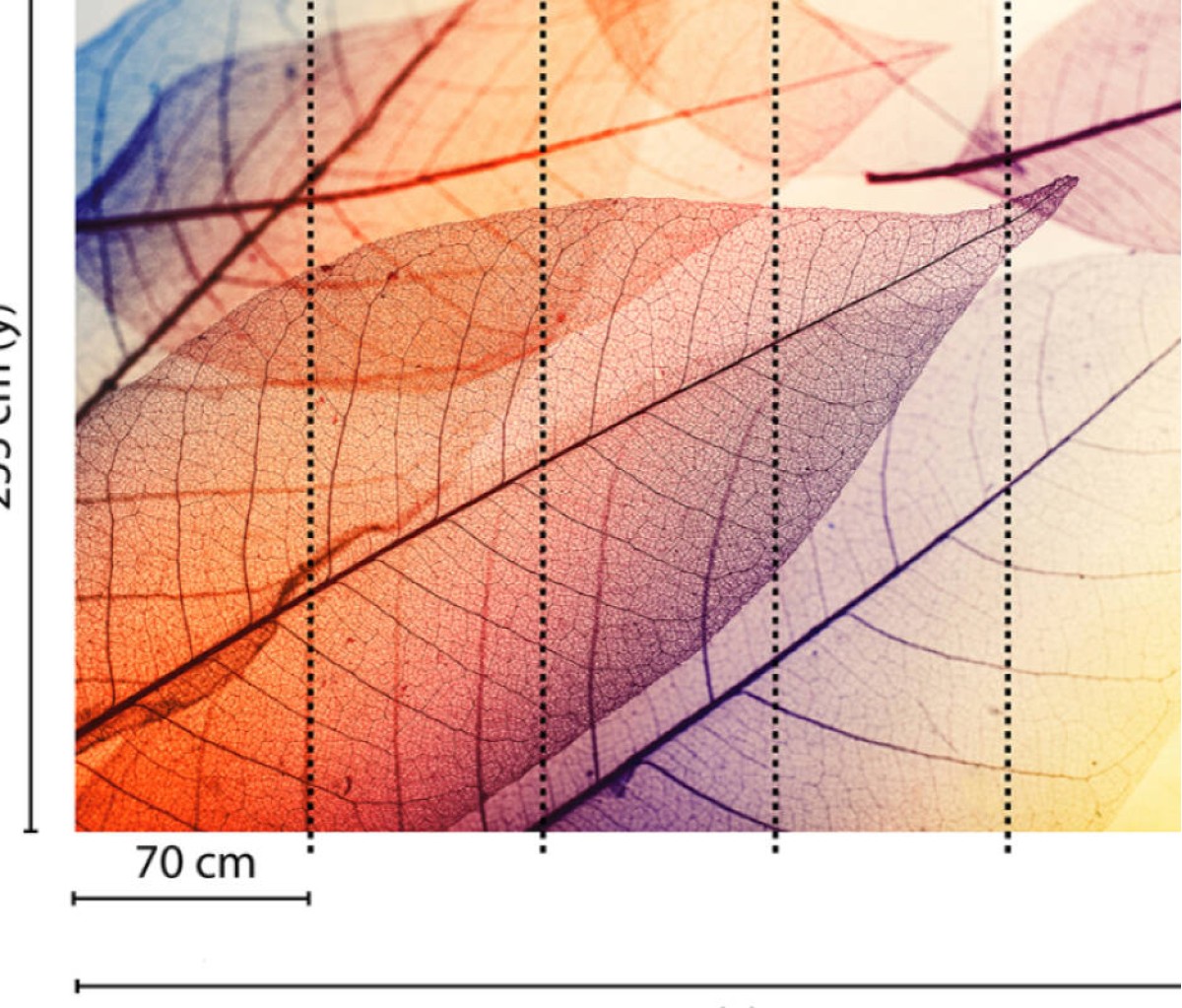 Designwalls DD118586 Limpid Leaf 1