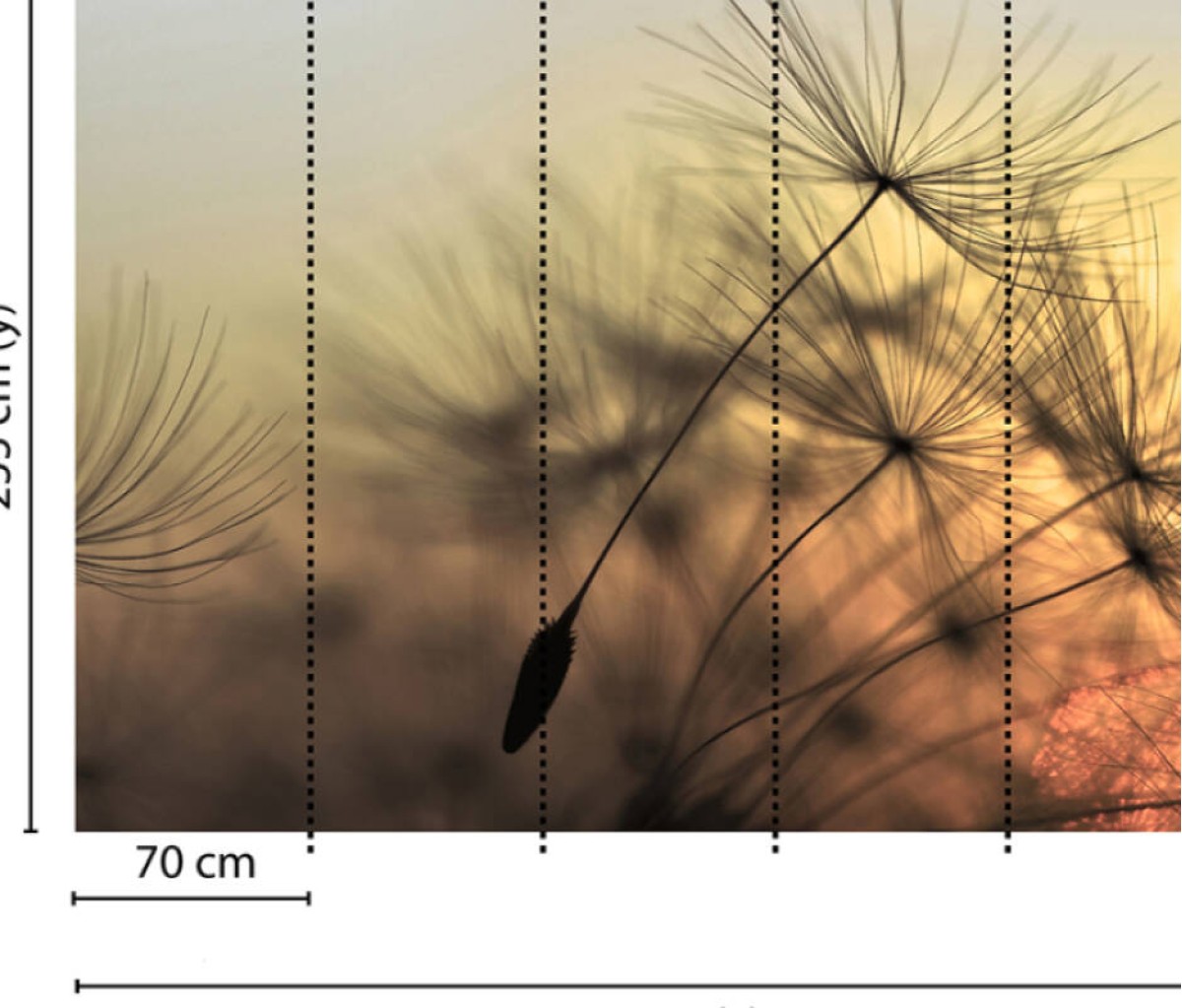 Designwalls DD118592 Flying Dandelion 2
