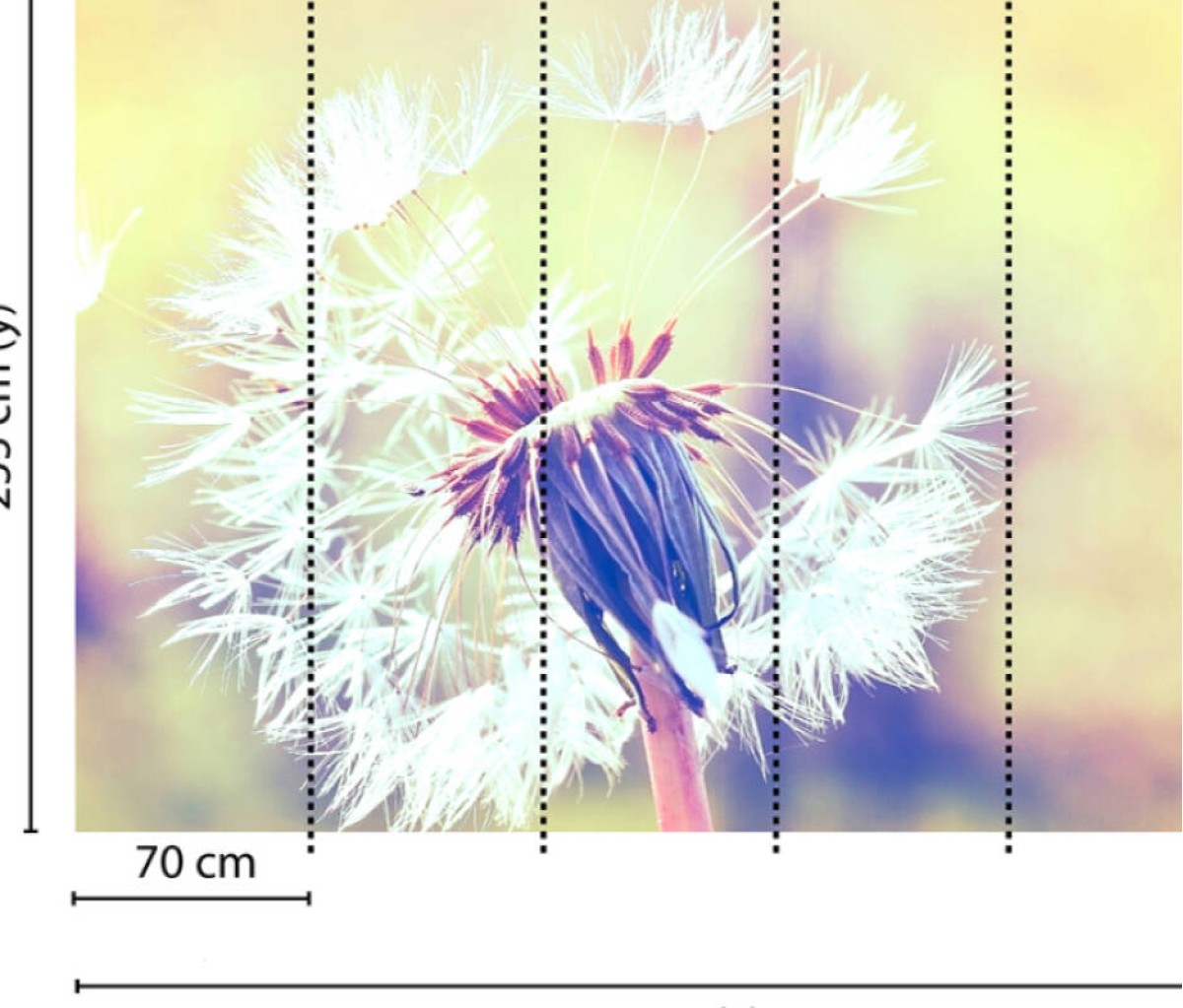Designwalls DD118596 Dandelion 2