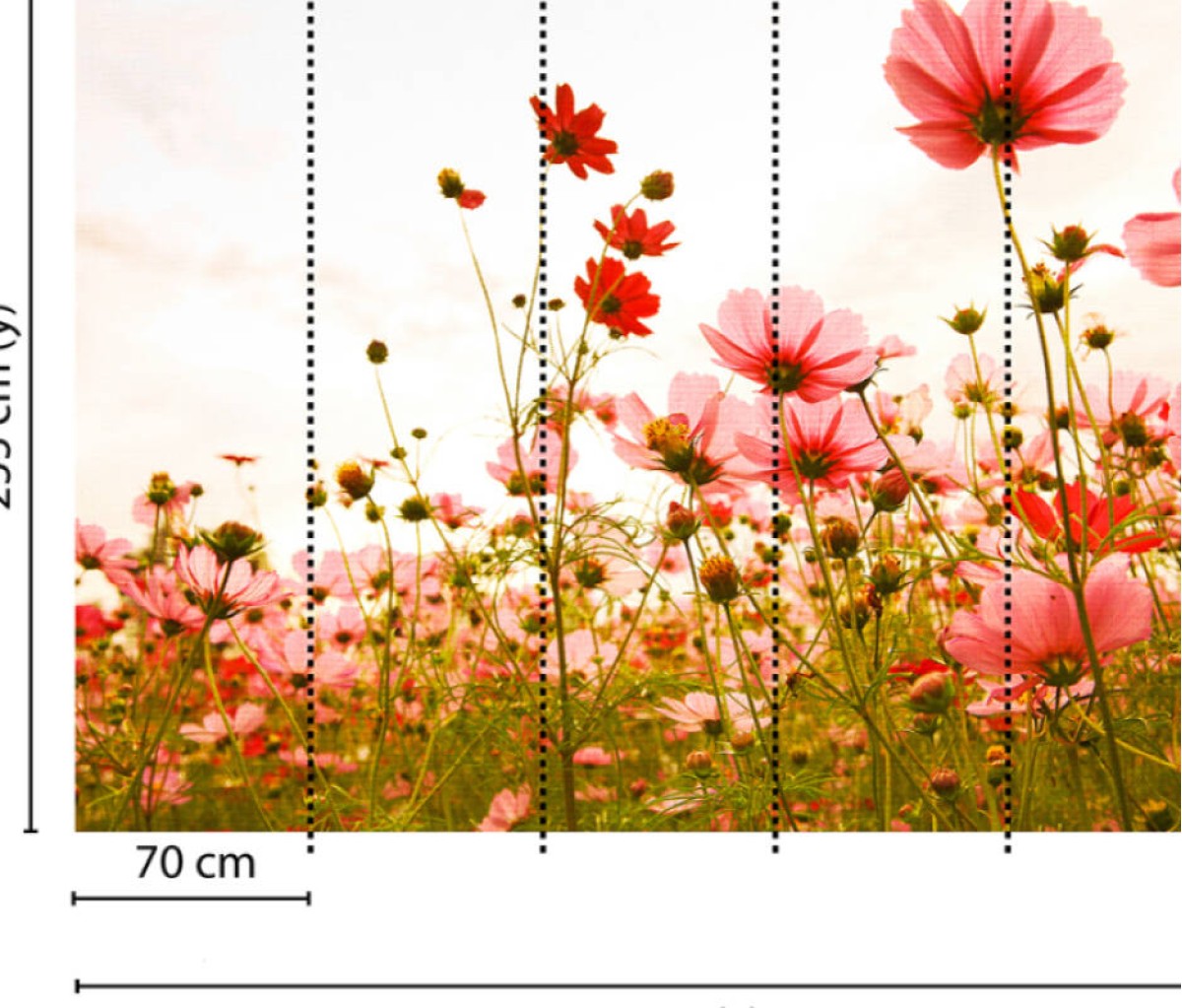 Designwalls DD118598 Flower Meadow 1