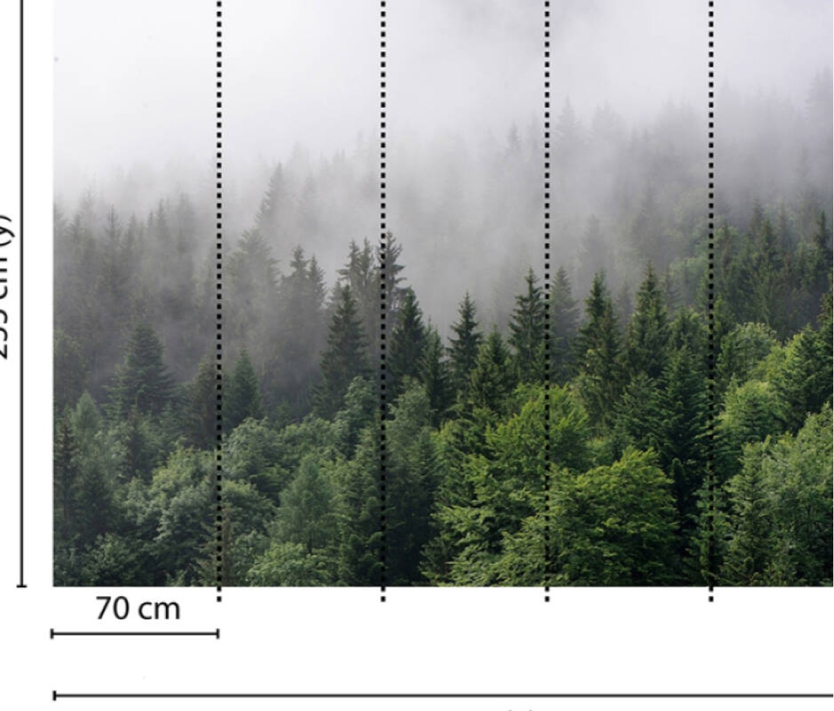 Designwalls DD118602 Foggy Fir Trees