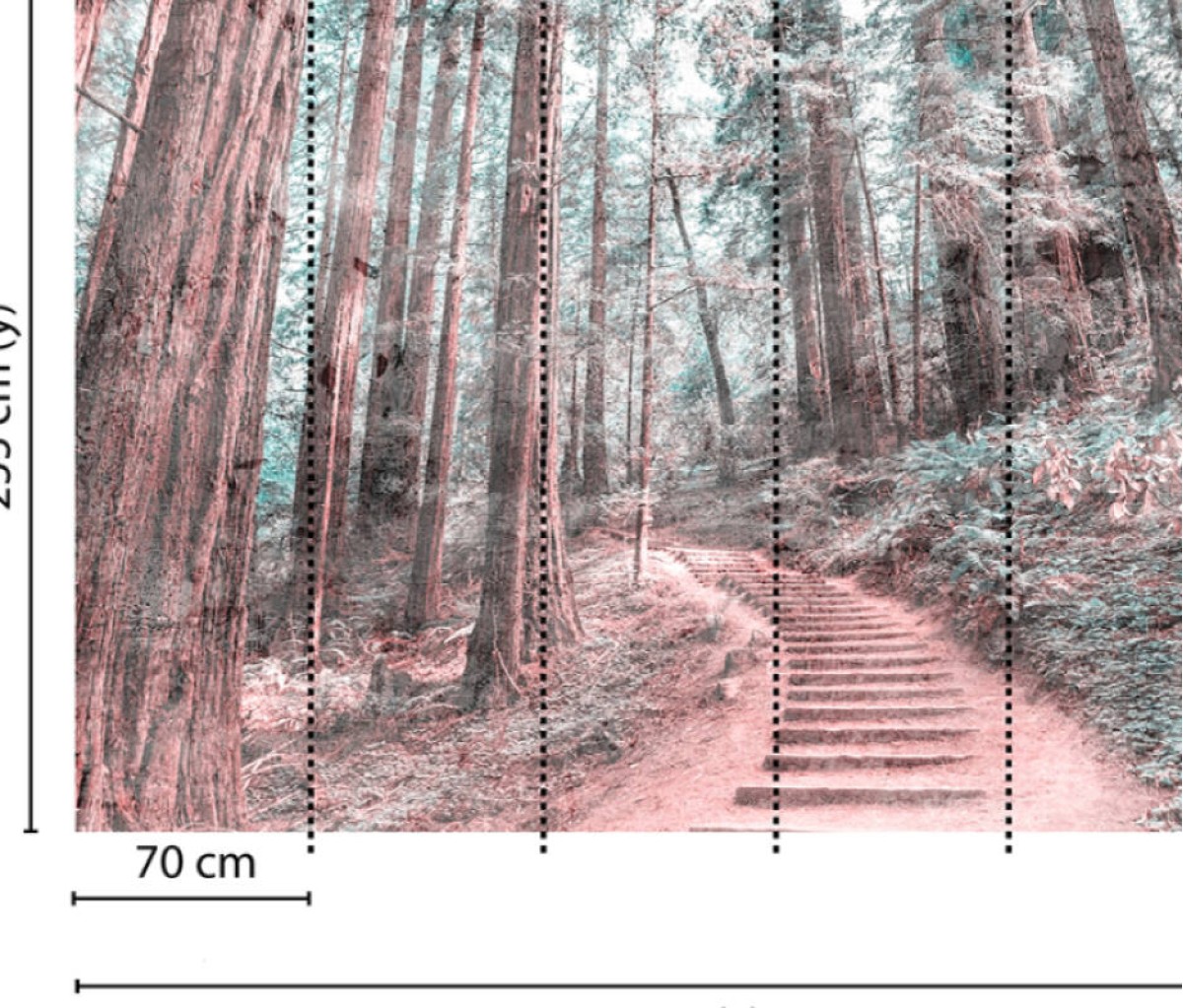 Designwalls DD118628 Forest Walk 2
