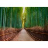 Designwalls DD118630 Bamboo Walk