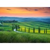 Designwalls DD118650 Tuscany 1