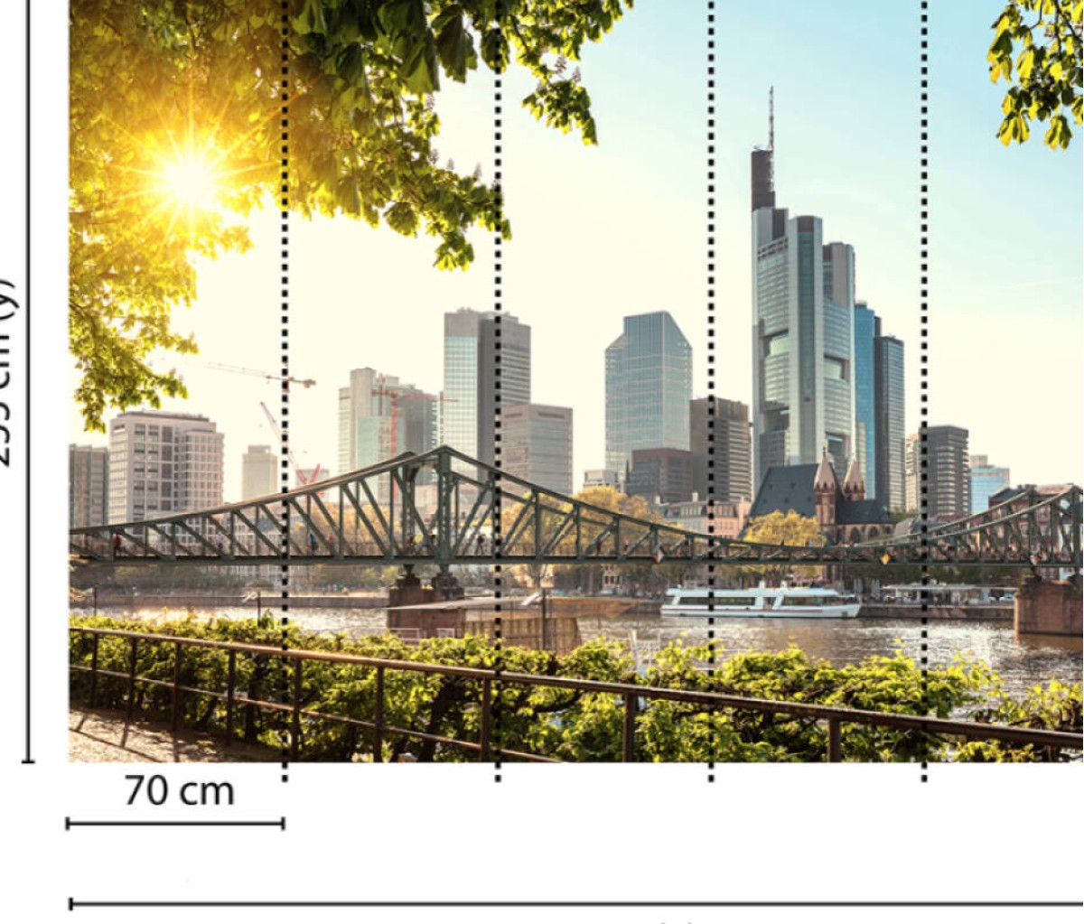 Designwalls DD118690 Frankfurt City