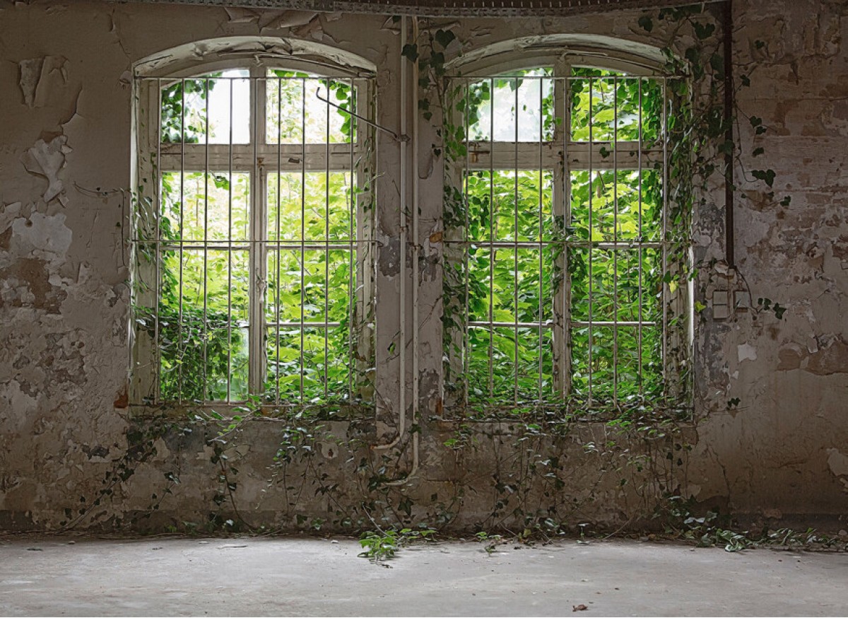 Designwalls DD118794 Old Window