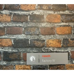 Rasch Factory 4