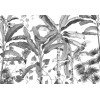 Komar Ink INX8-082 Croissances Monochrome