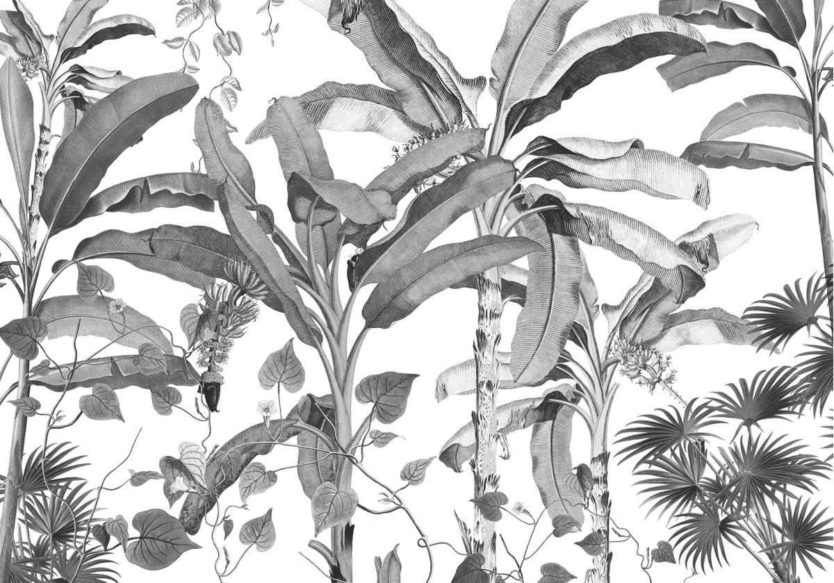 Komar Ink INX8-082 Croissances Monochrome