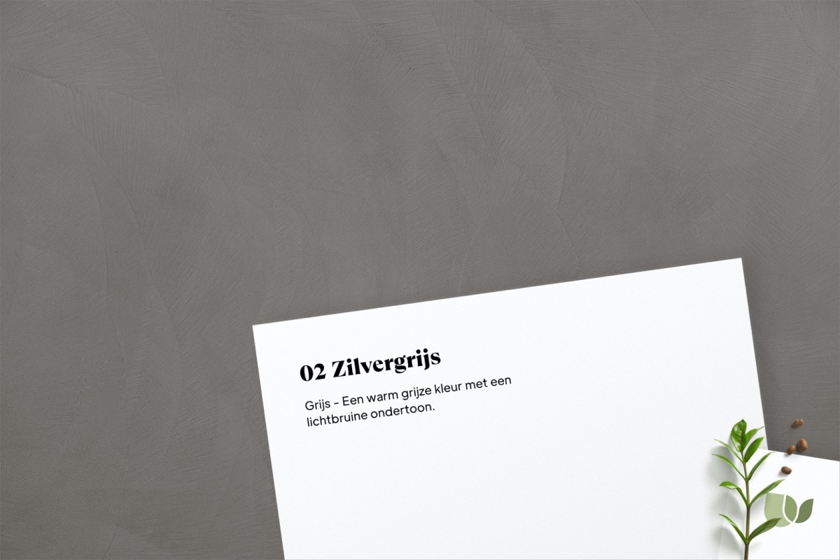 Beton Ciré 02 Zilvergrijs