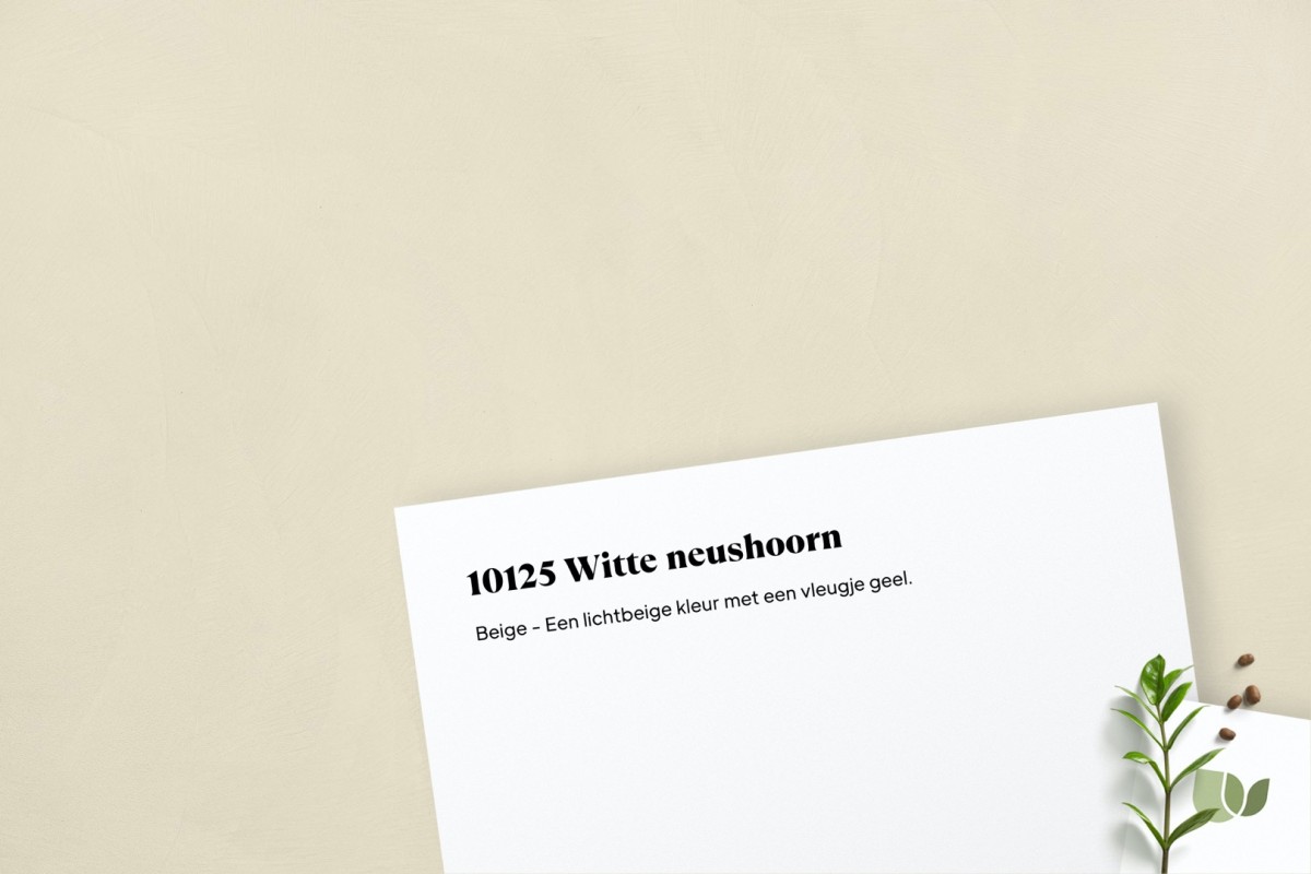 Beton Ciré 10125 Witte Neushoorn