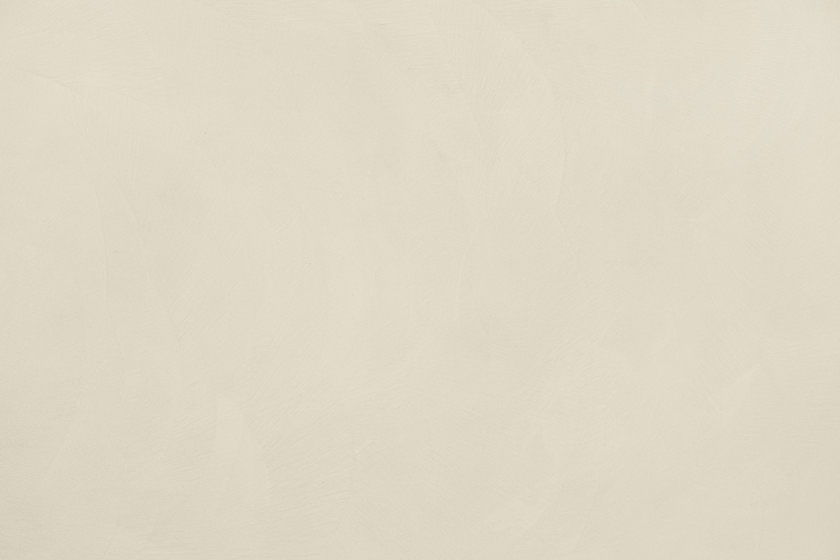 Beton Ciré 10202 Lin Plus