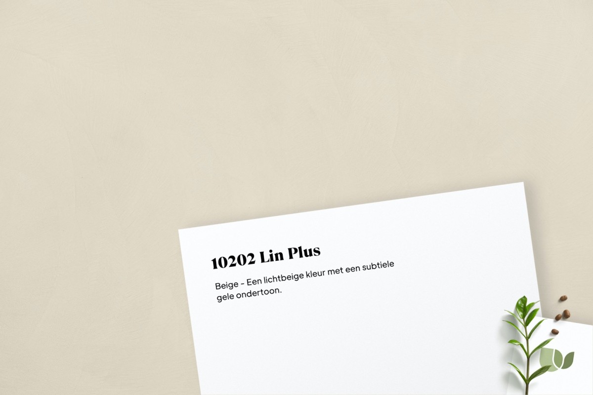Beton Ciré 10202 Lin Plus