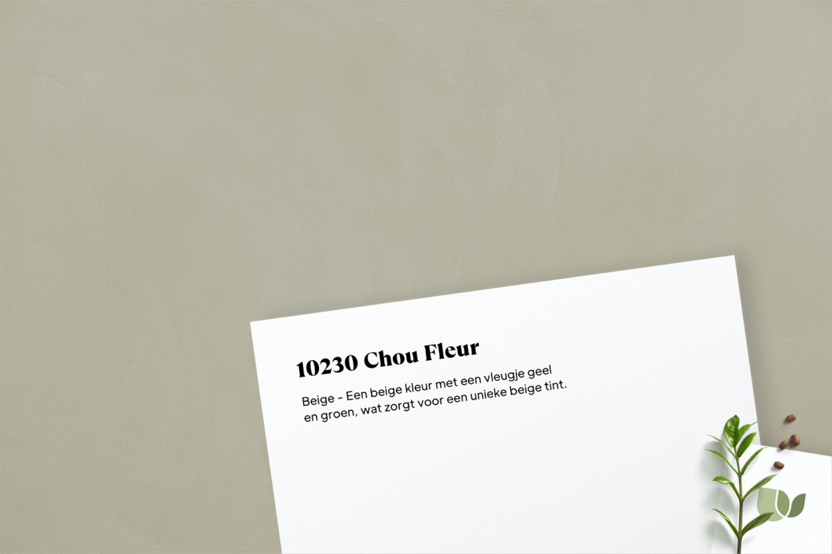 Beton Ciré 10230 Chou Fleur