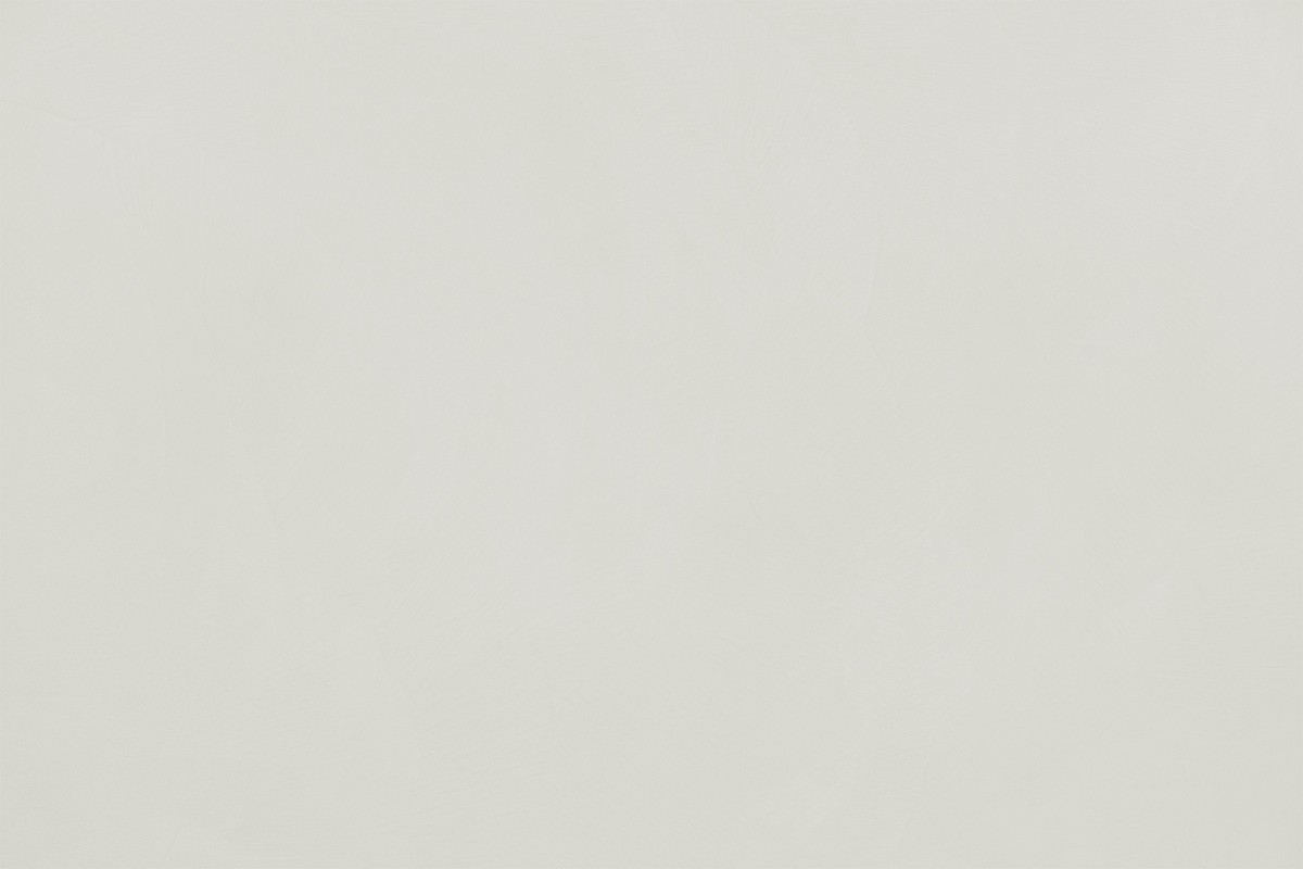 Beton Ciré 10231 Brullee