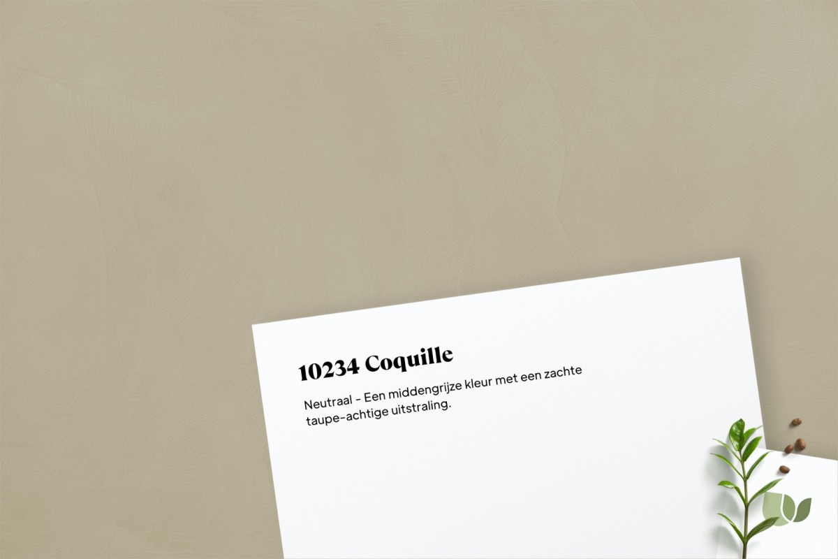 Beton Ciré 10234 Coquille